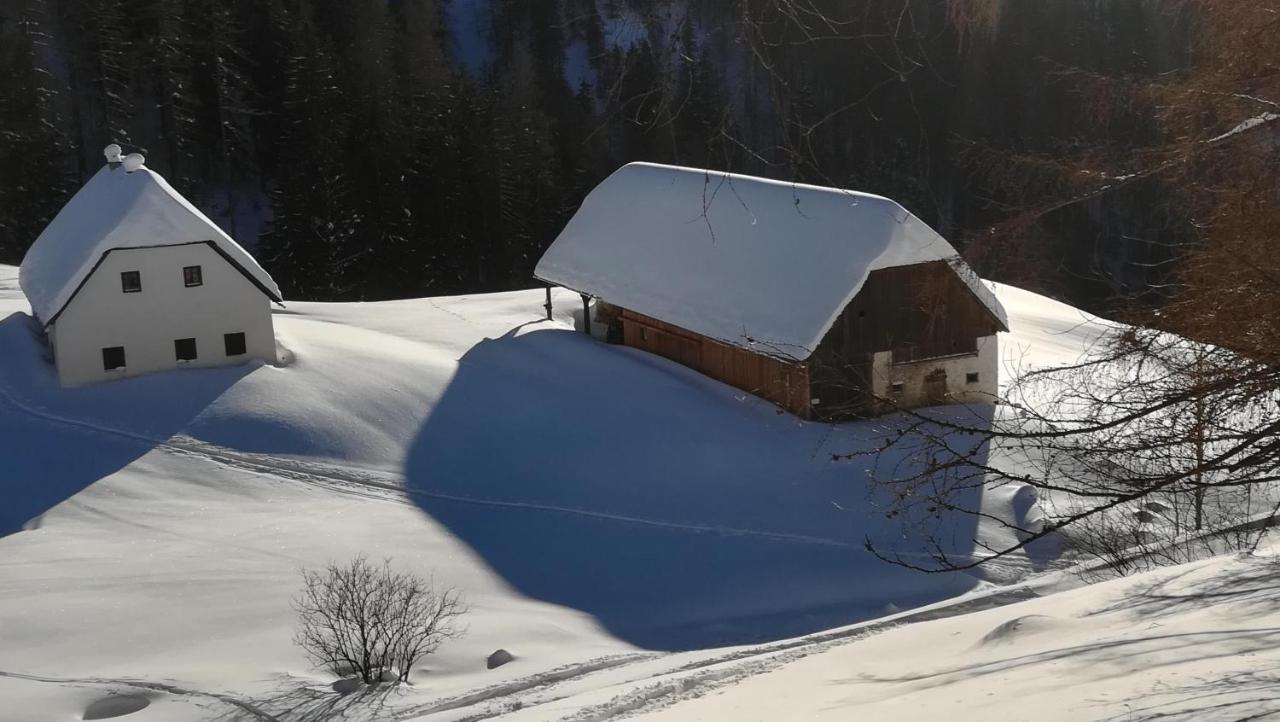 Gausrab Vila Hinterstoder Exterior foto